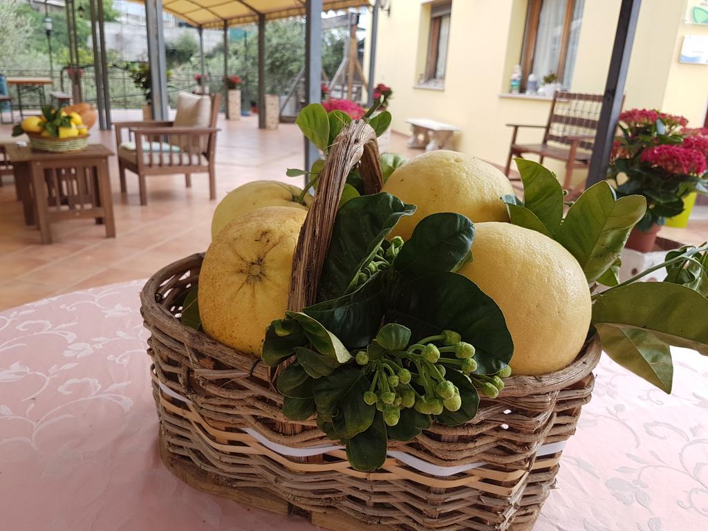Al Nido Degli Aironi Vakantieboerderij San Remo