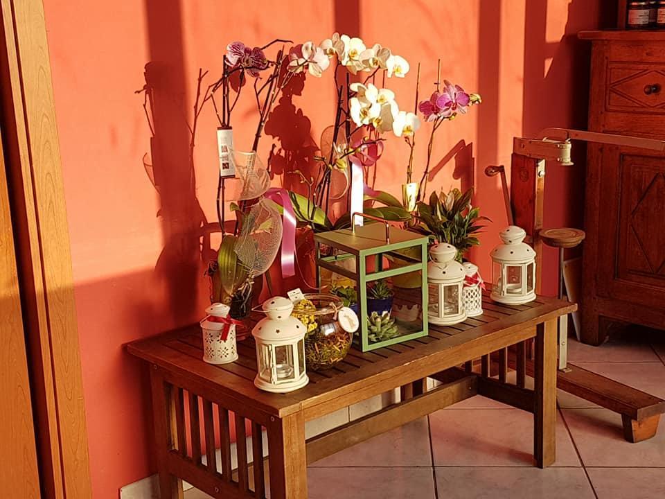 Farm stay Al Nido Degli Aironi *