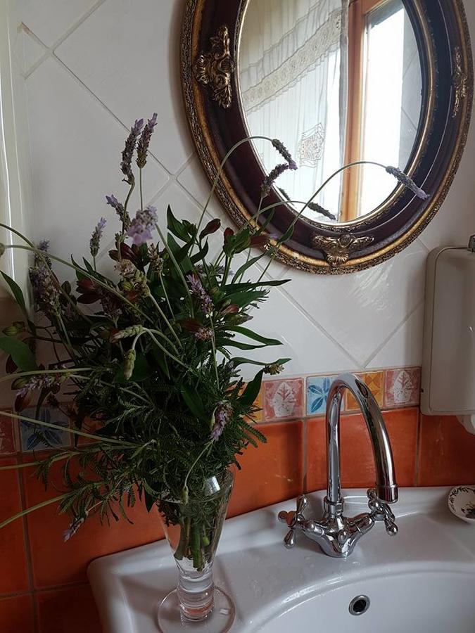 Al Nido Degli Aironi Vakantieboerderij
